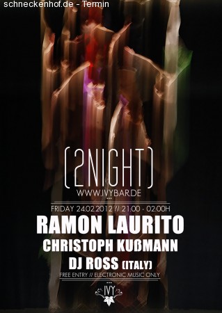 2Night Werbeplakat